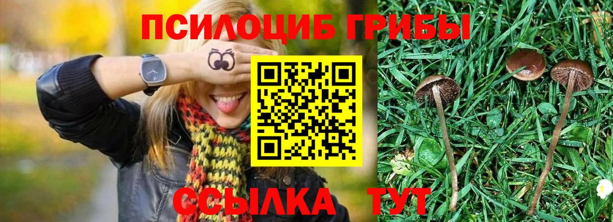 Галлюциногенные грибы мицелий Холмск
