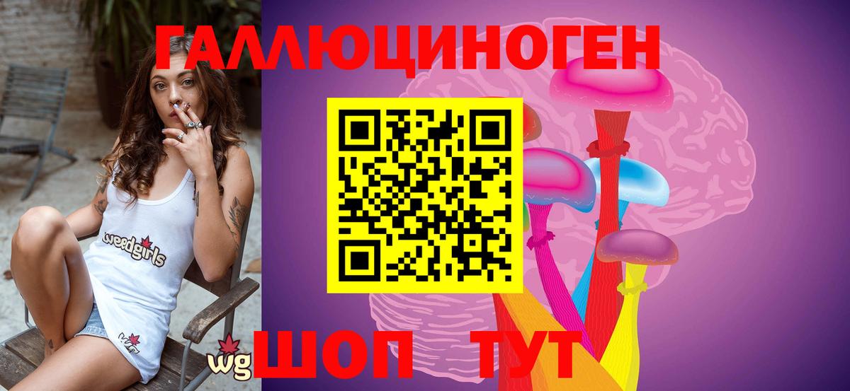 Псилоцибиновые грибы Psilocybe  Вход с VPN  Холмск 